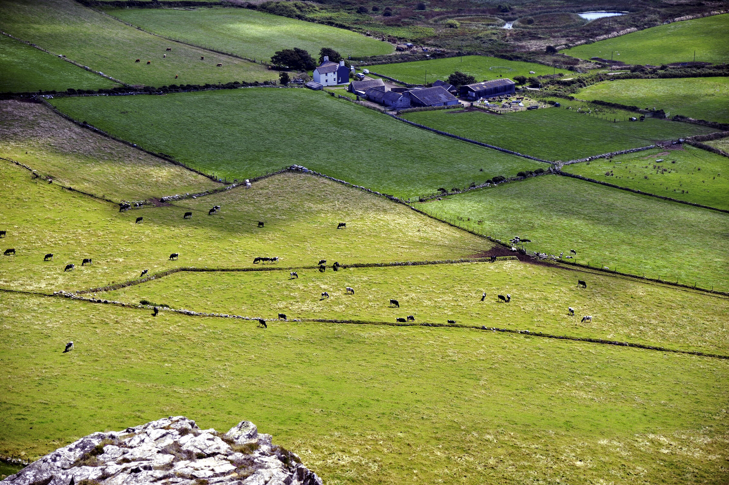 wales – whitesands bay  (20)