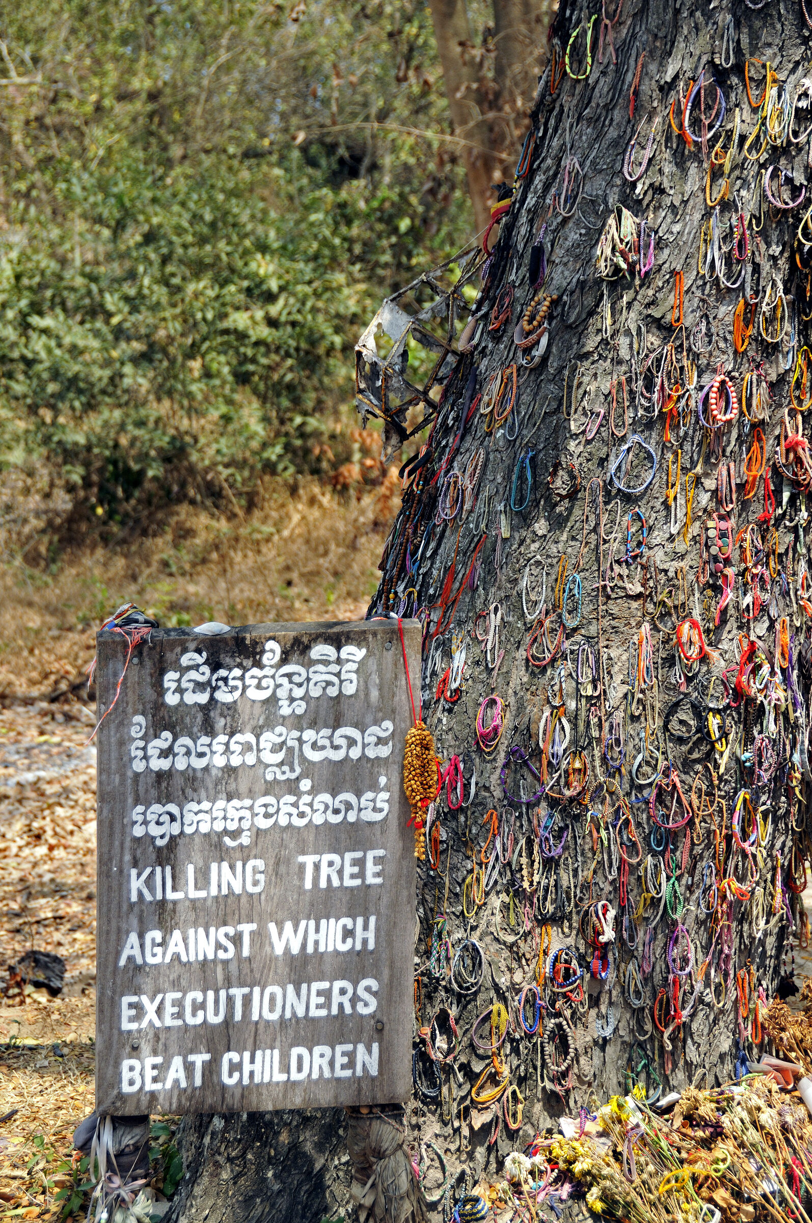 phnom penh - killing fields choeung ek (05)