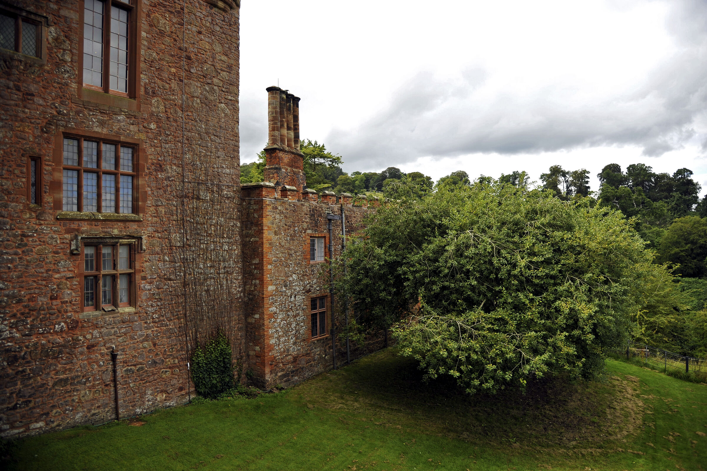 wales – powis castle (08)