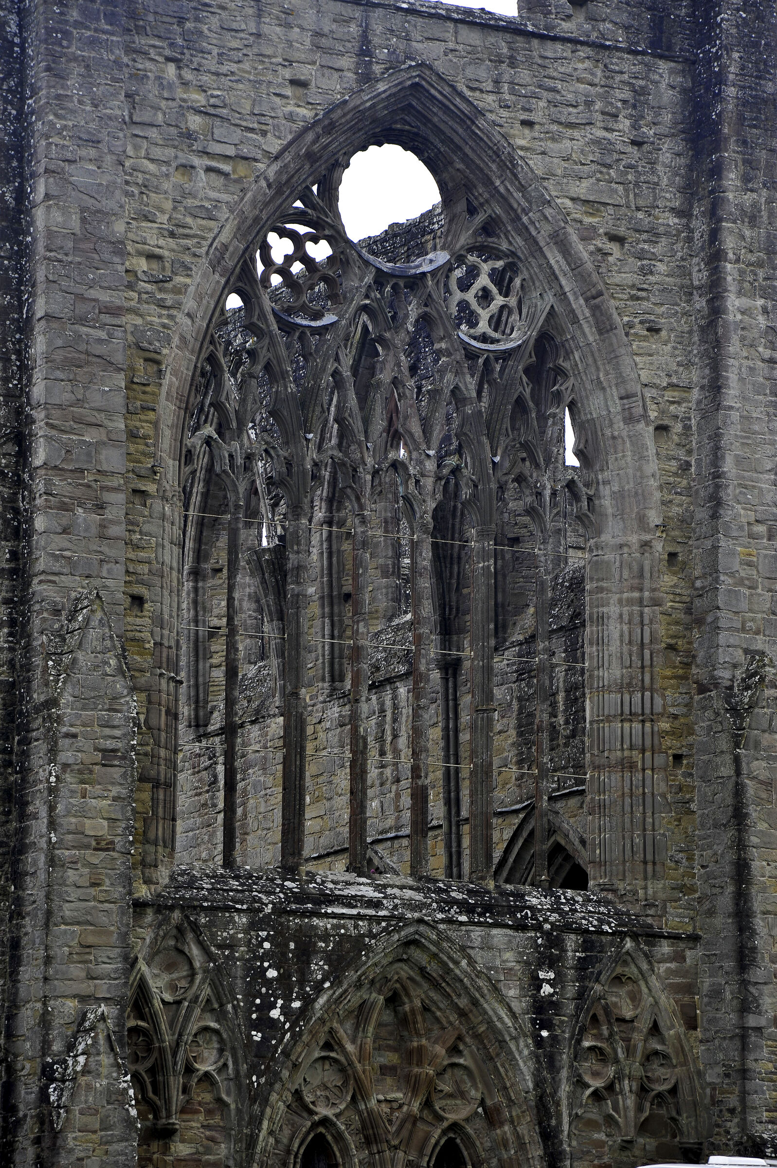 wales – tintern abbey (38)
