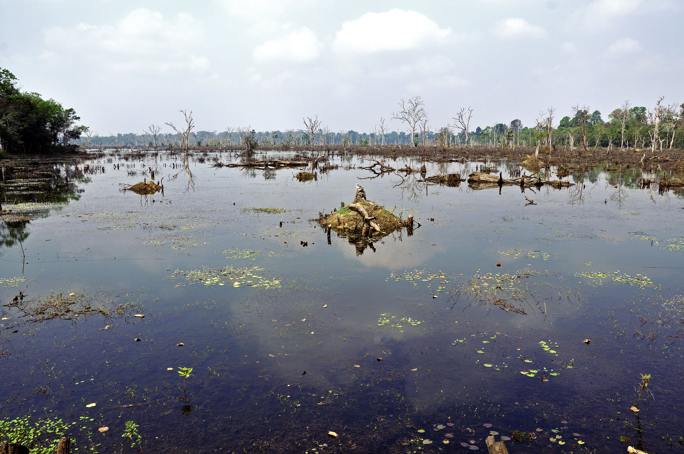 kambodscha - tempel von anghor - - nördlicher baray (12)