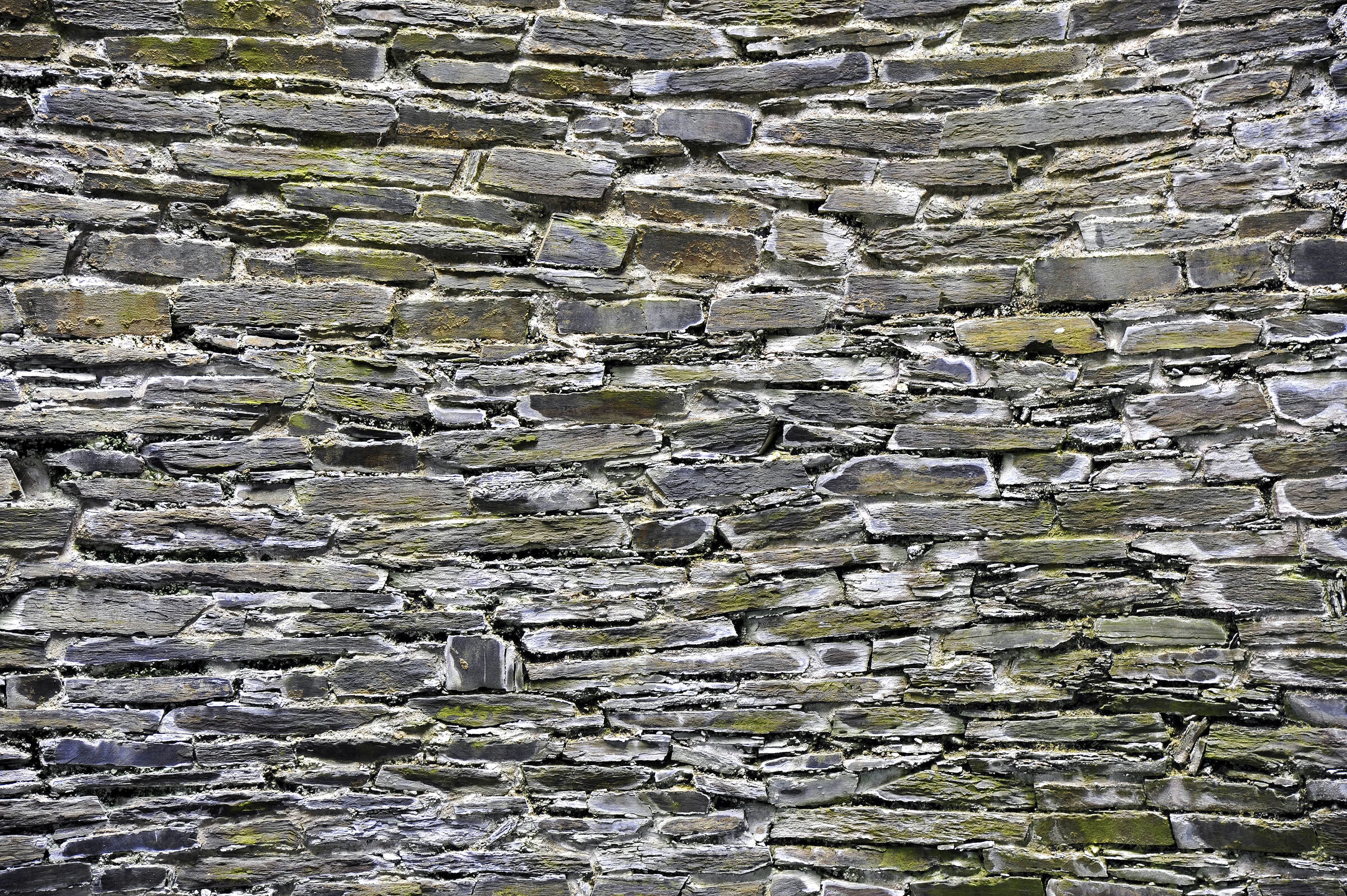 wales – cilgerran castle (10)