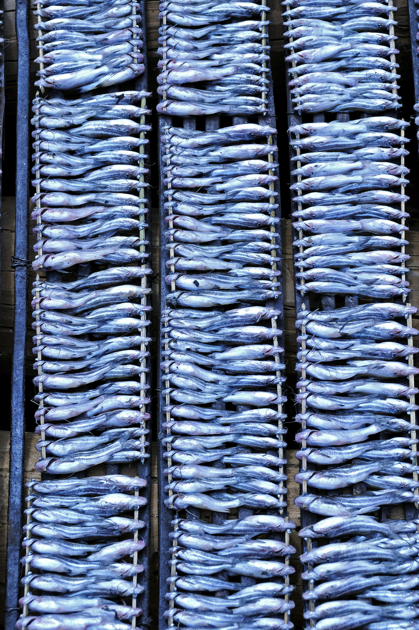 siem reap (69) – kampong khleang