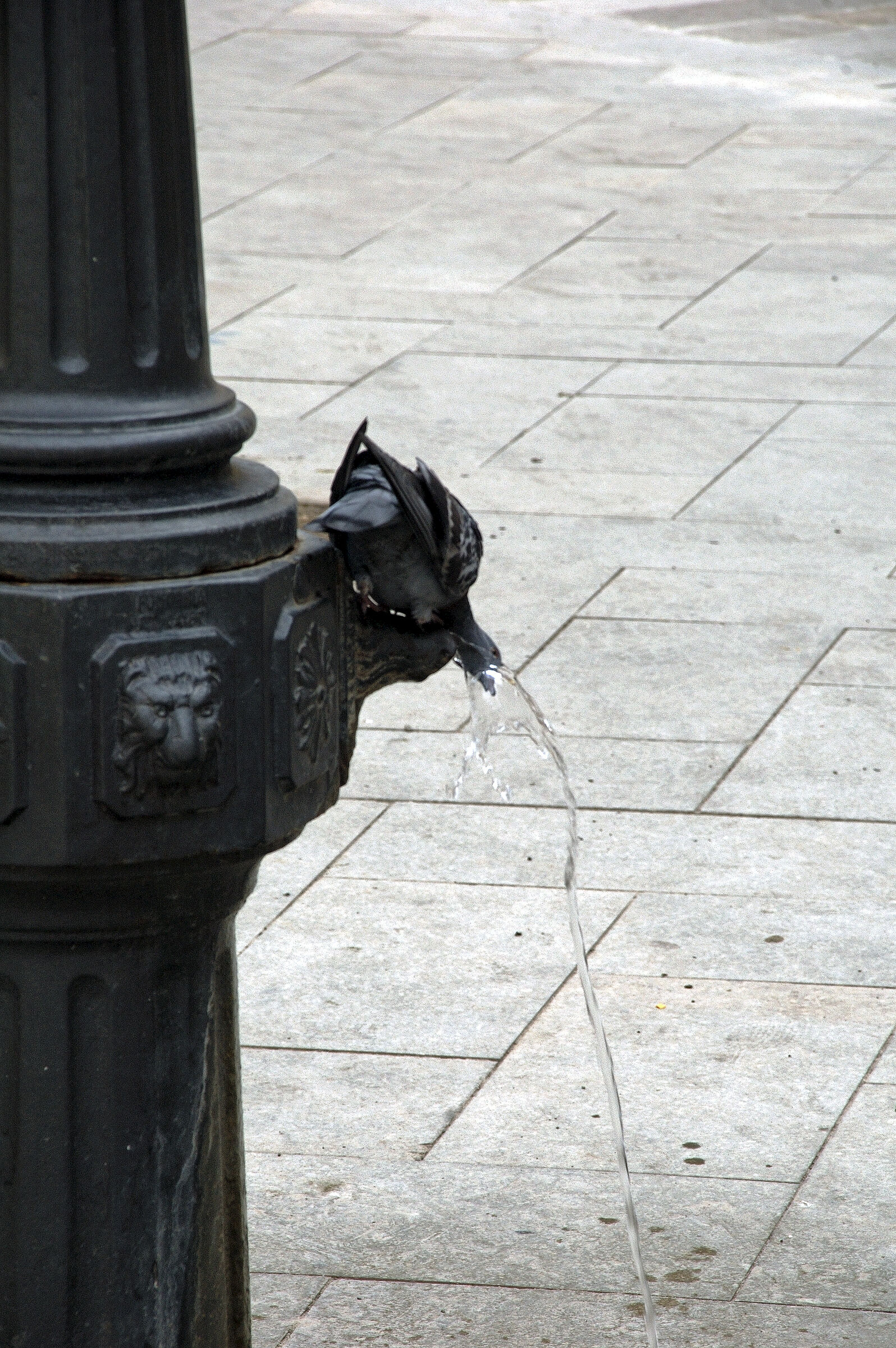 venedig (57) - durst