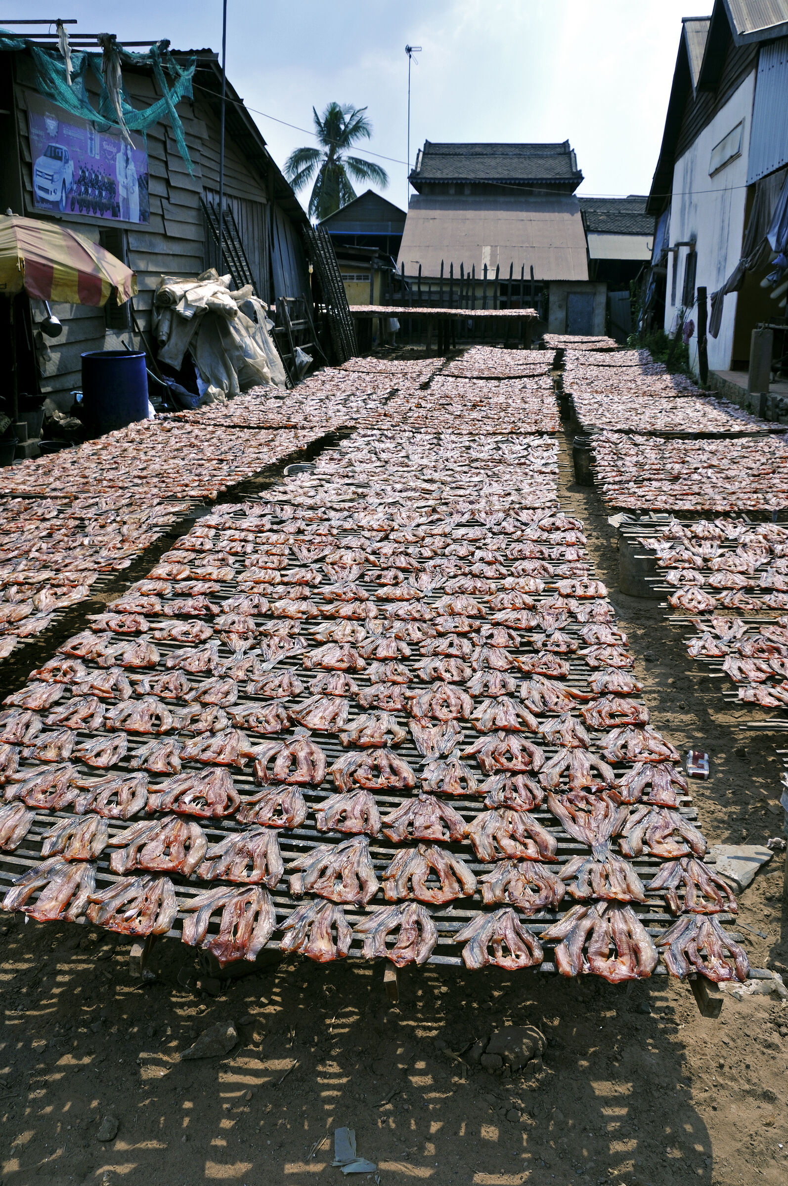 siem reap (33) - unterwegs