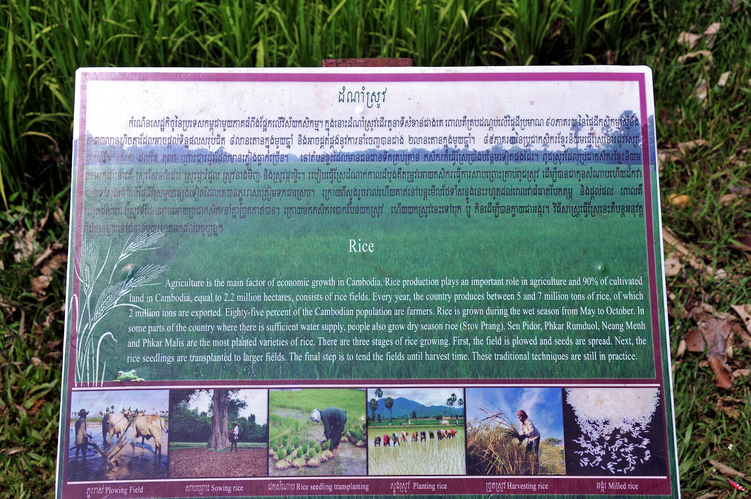 kambodscha - tempel von anghor - unterwegs (32)