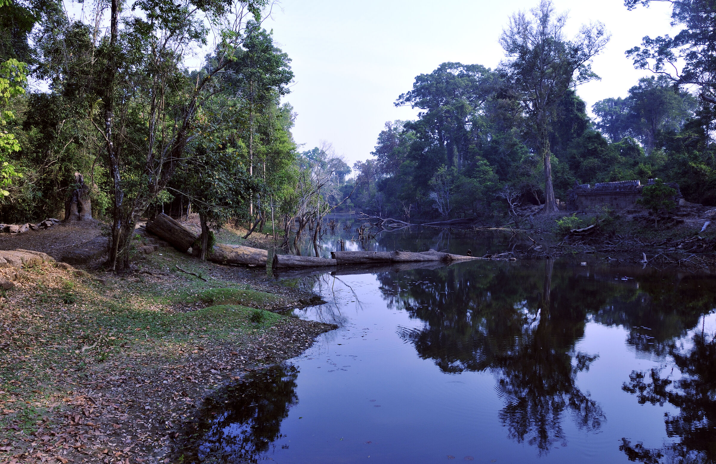 kambodscha - tempel von anghor - preak khan (11)