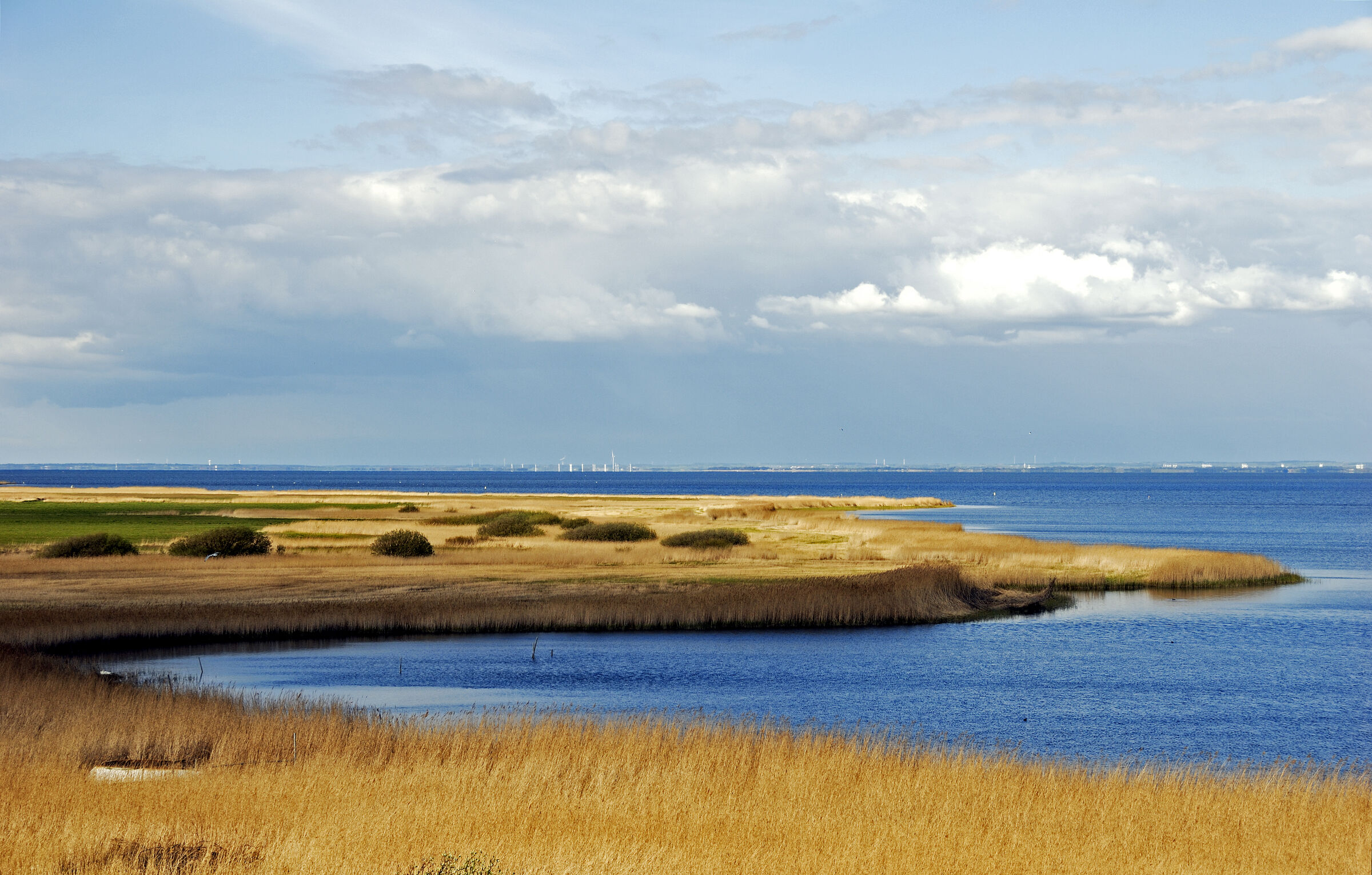dänemark - ringkobing fjord - holmland klit (14)
