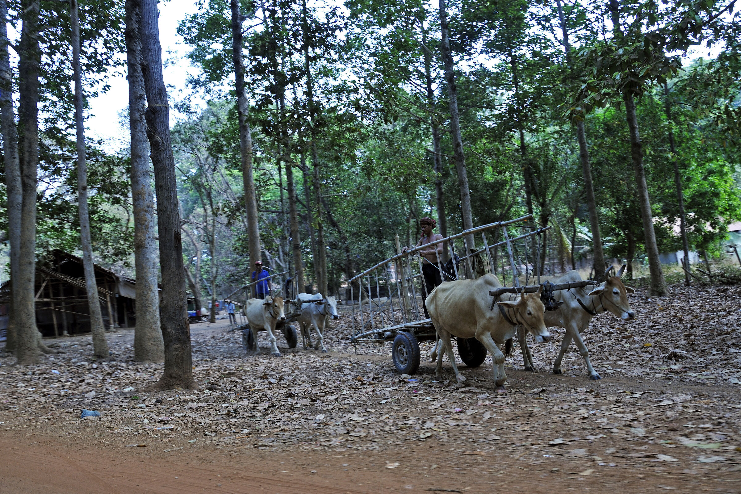 kambodscha - tempel von anghor - unterwegs (20)