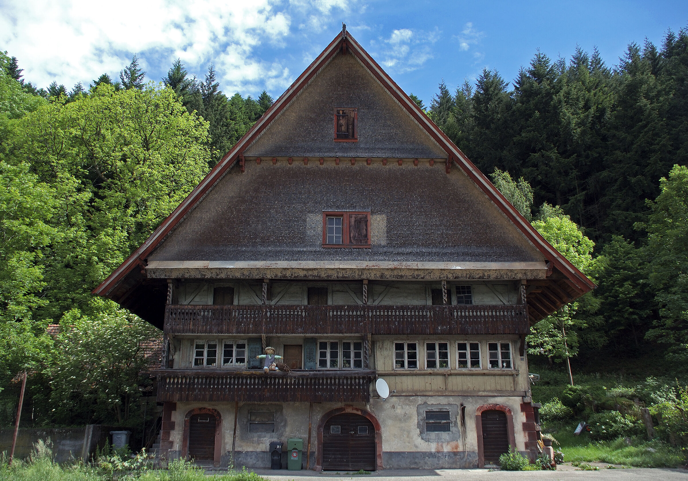 schwarzwald (16)