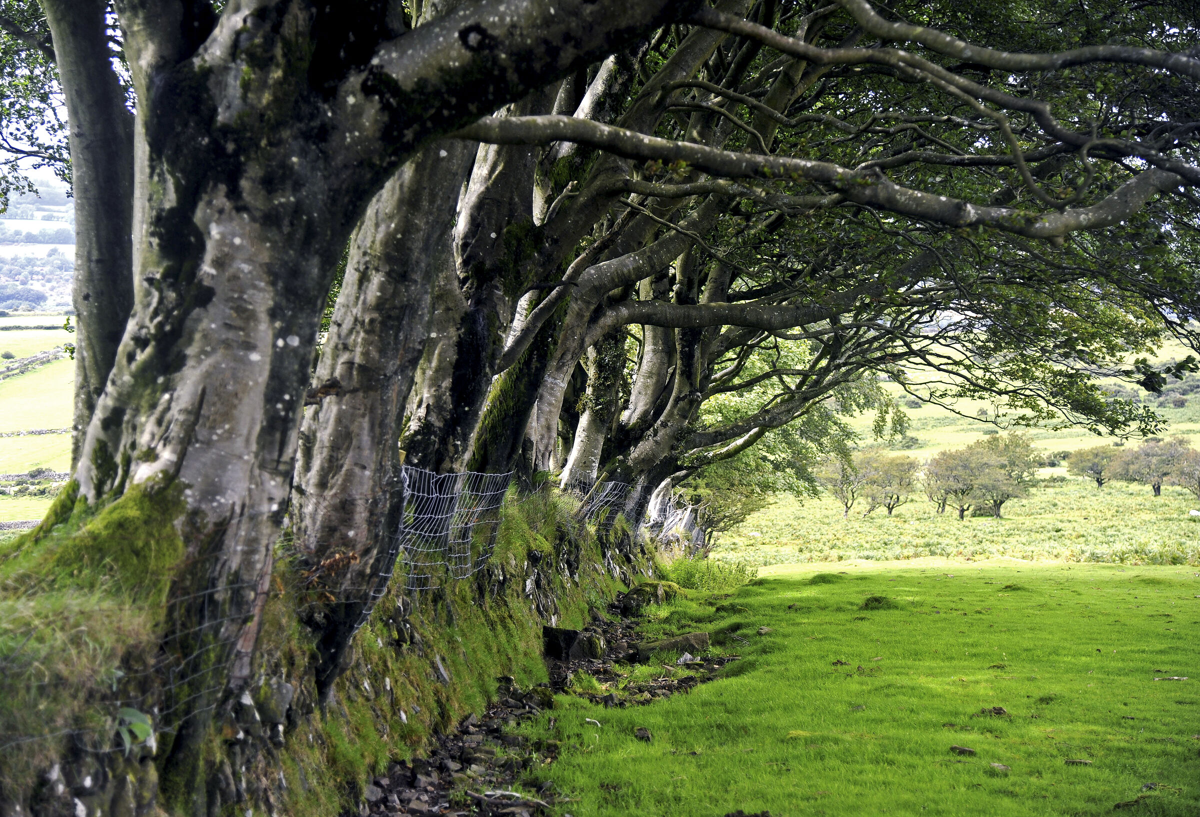 england – cornwall (19)