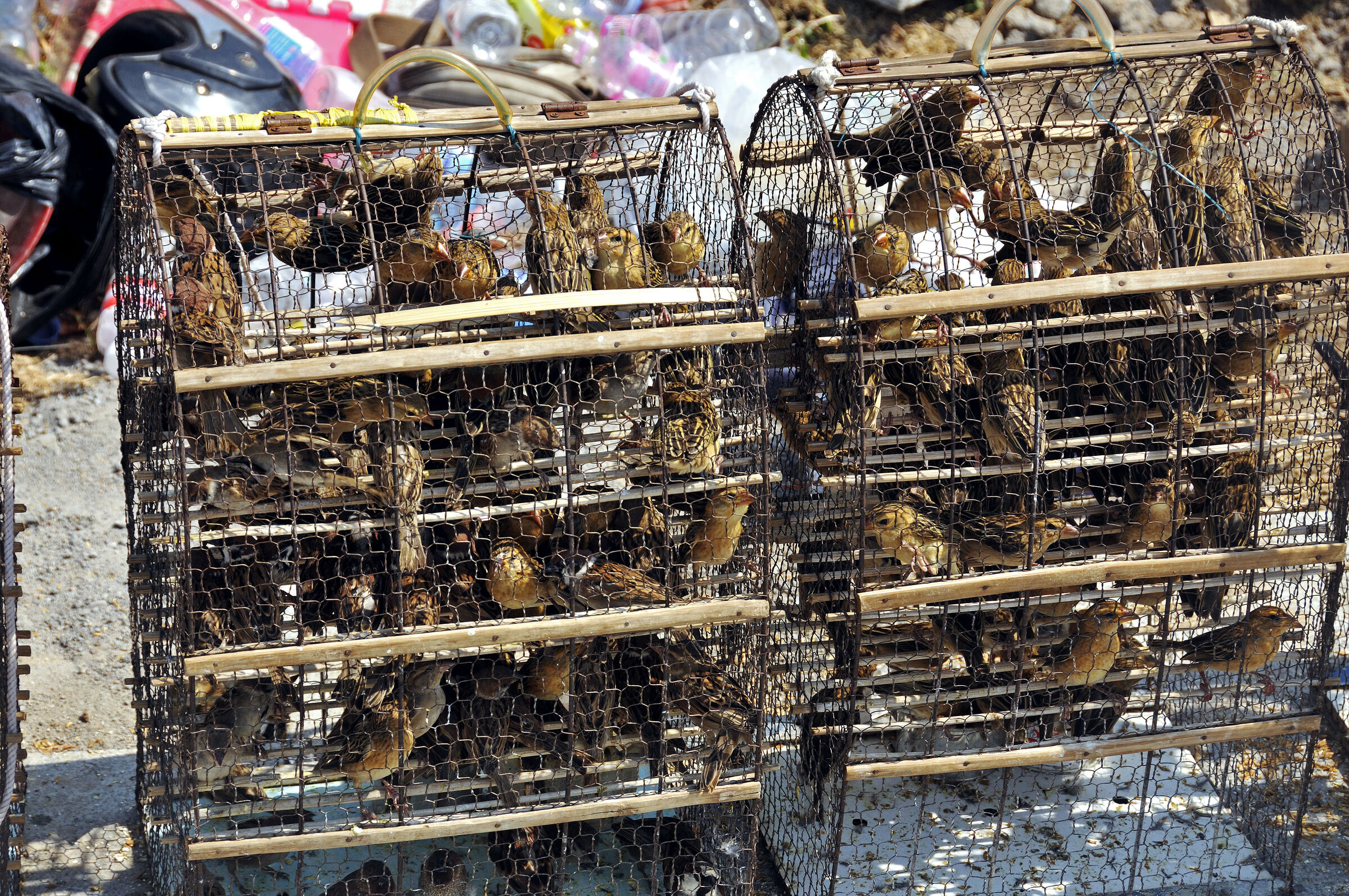 phnom penh - am fluss (26)