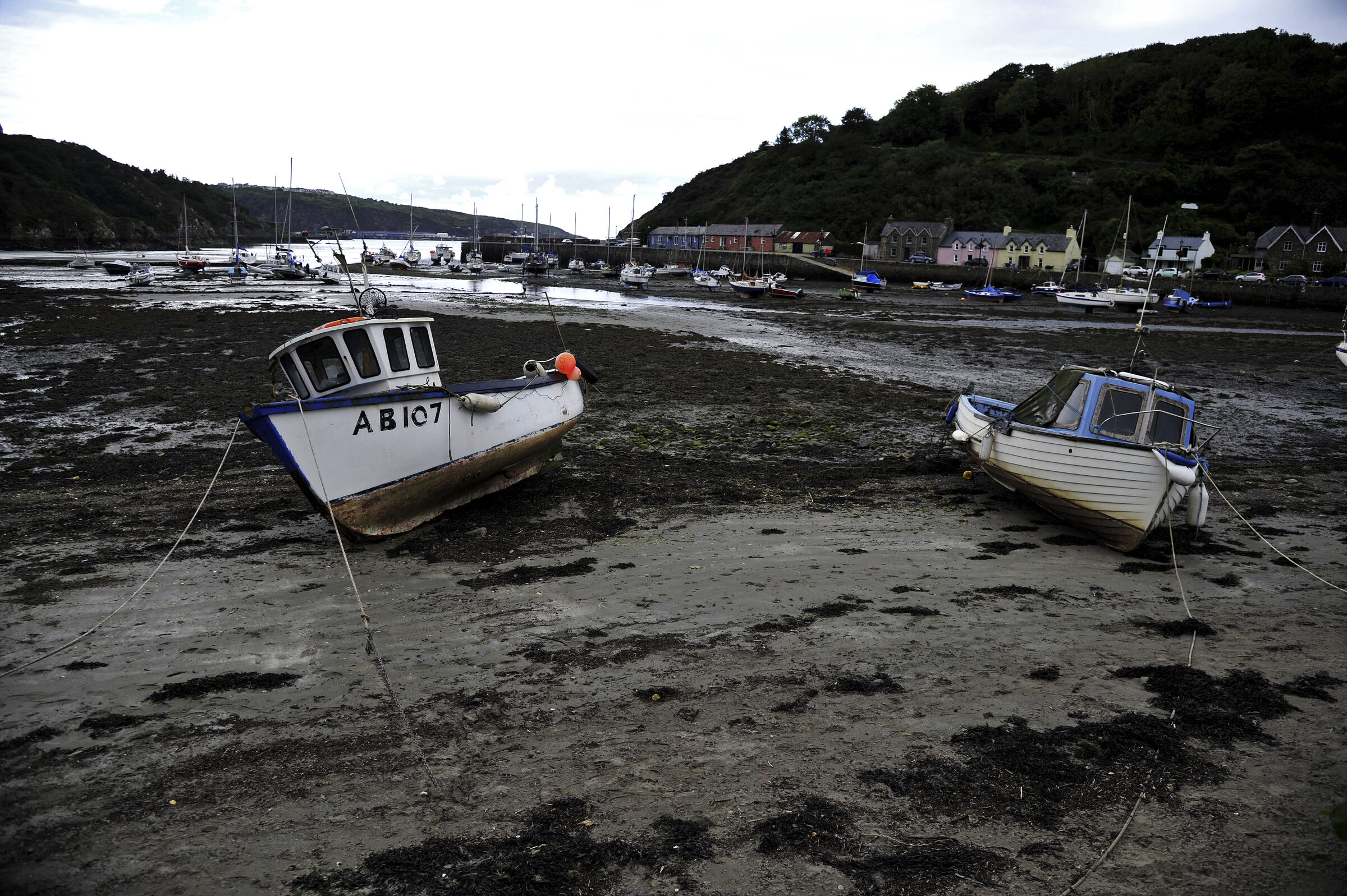 wales – fishguard goodwick (03)