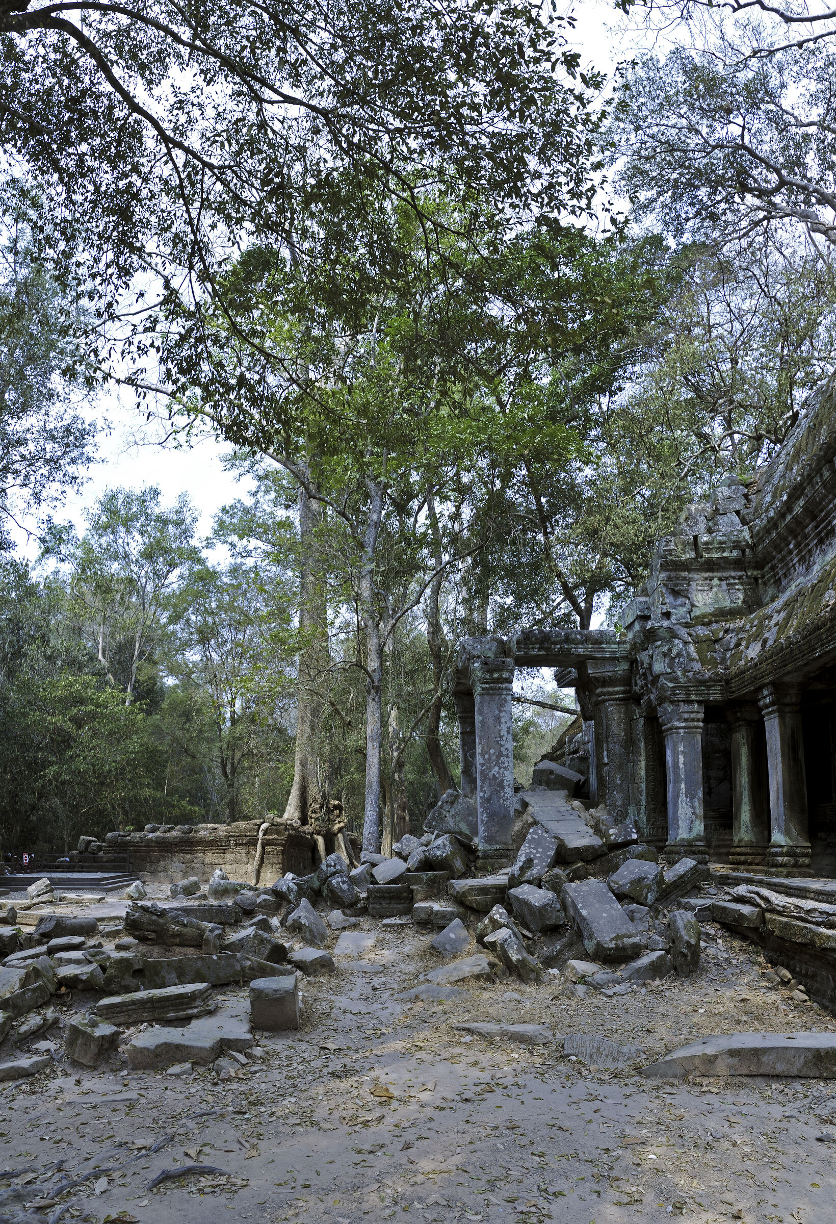 kambodscha - tempel von anghor - ta prohm (57) - teilpanorama te