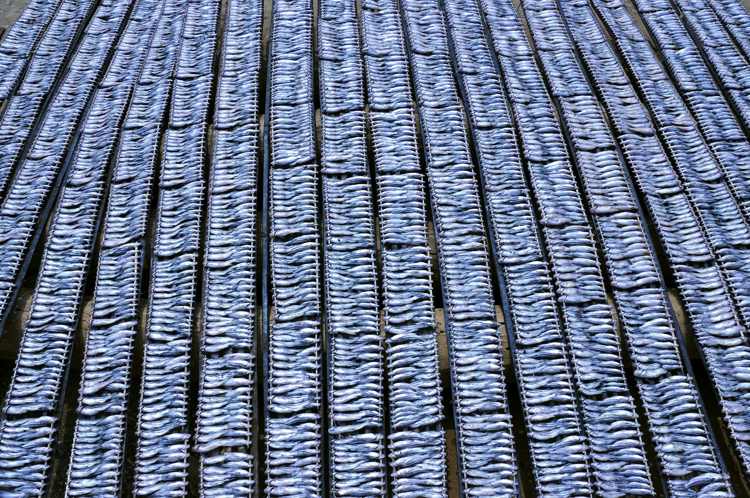 siem reap (67) – kampong khleang