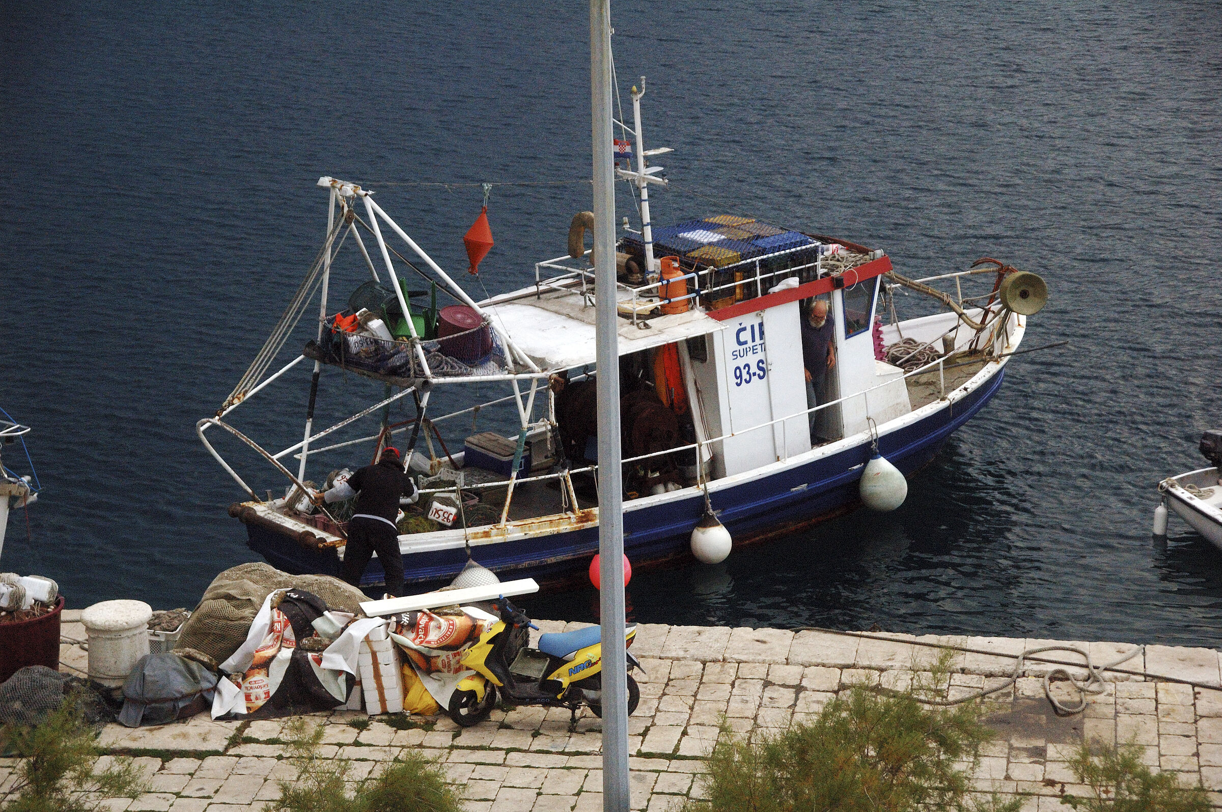 kroatien (38) - leinen los