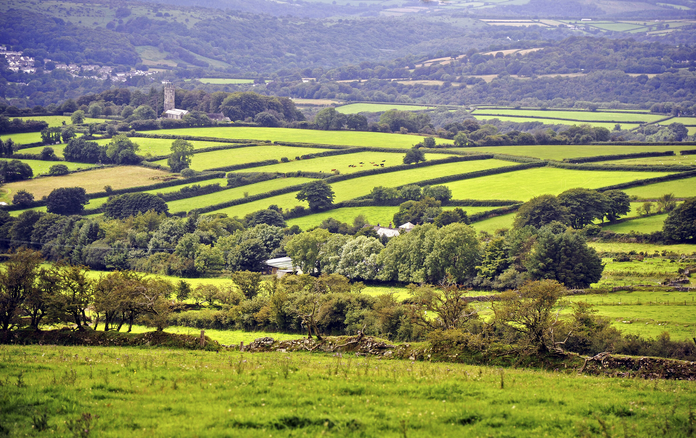 england – cornwall (18)