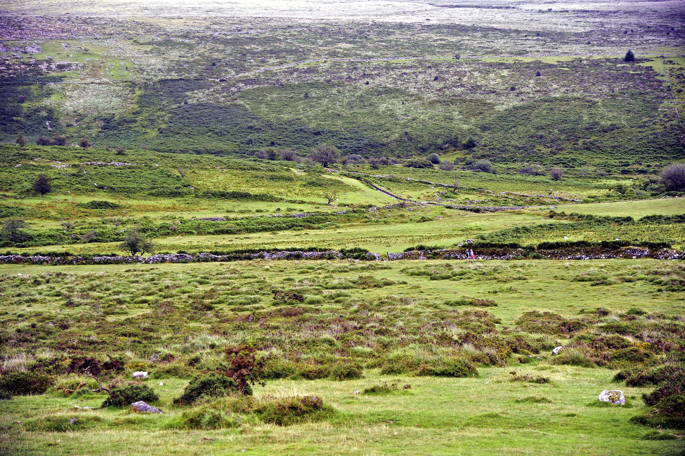 england – dartmoor (01)