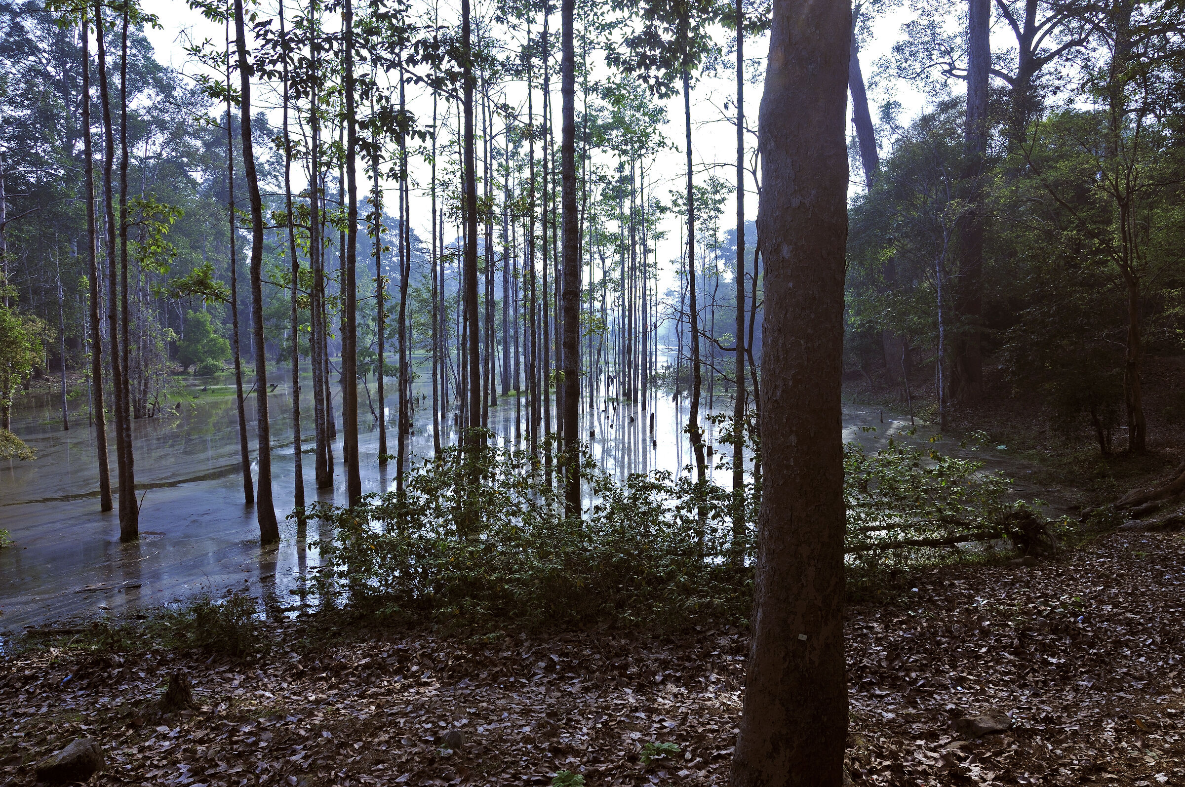 kambodscha - tempel von anghor - angkor thom - terrasse der elef