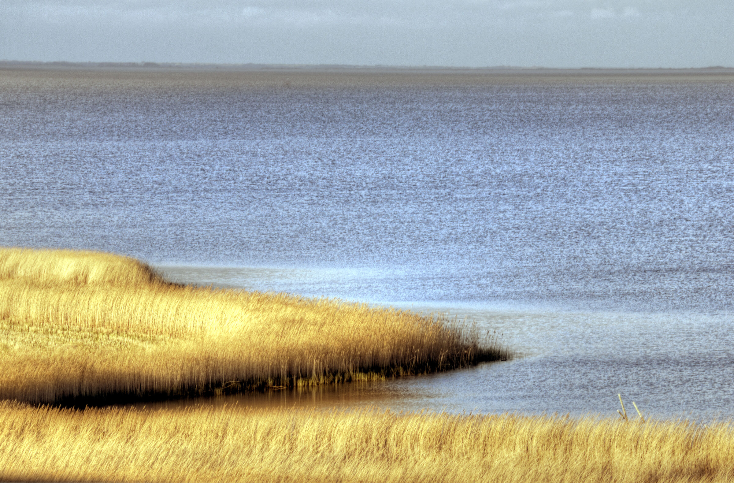 dänemark - ringkobing fjord - holmland klit (17)