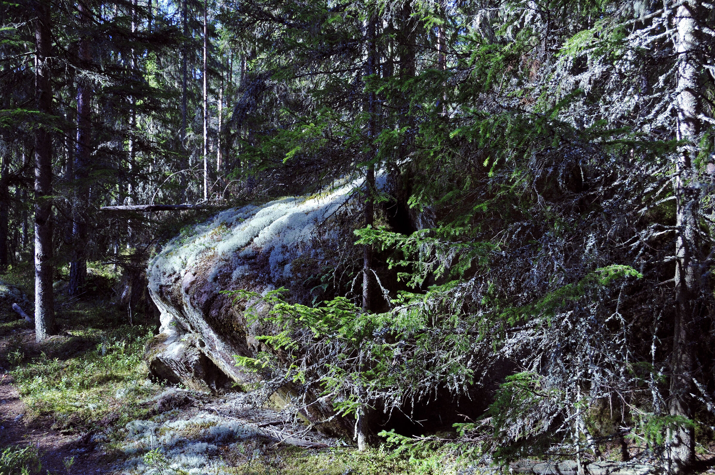 schweden 2017 - (45)