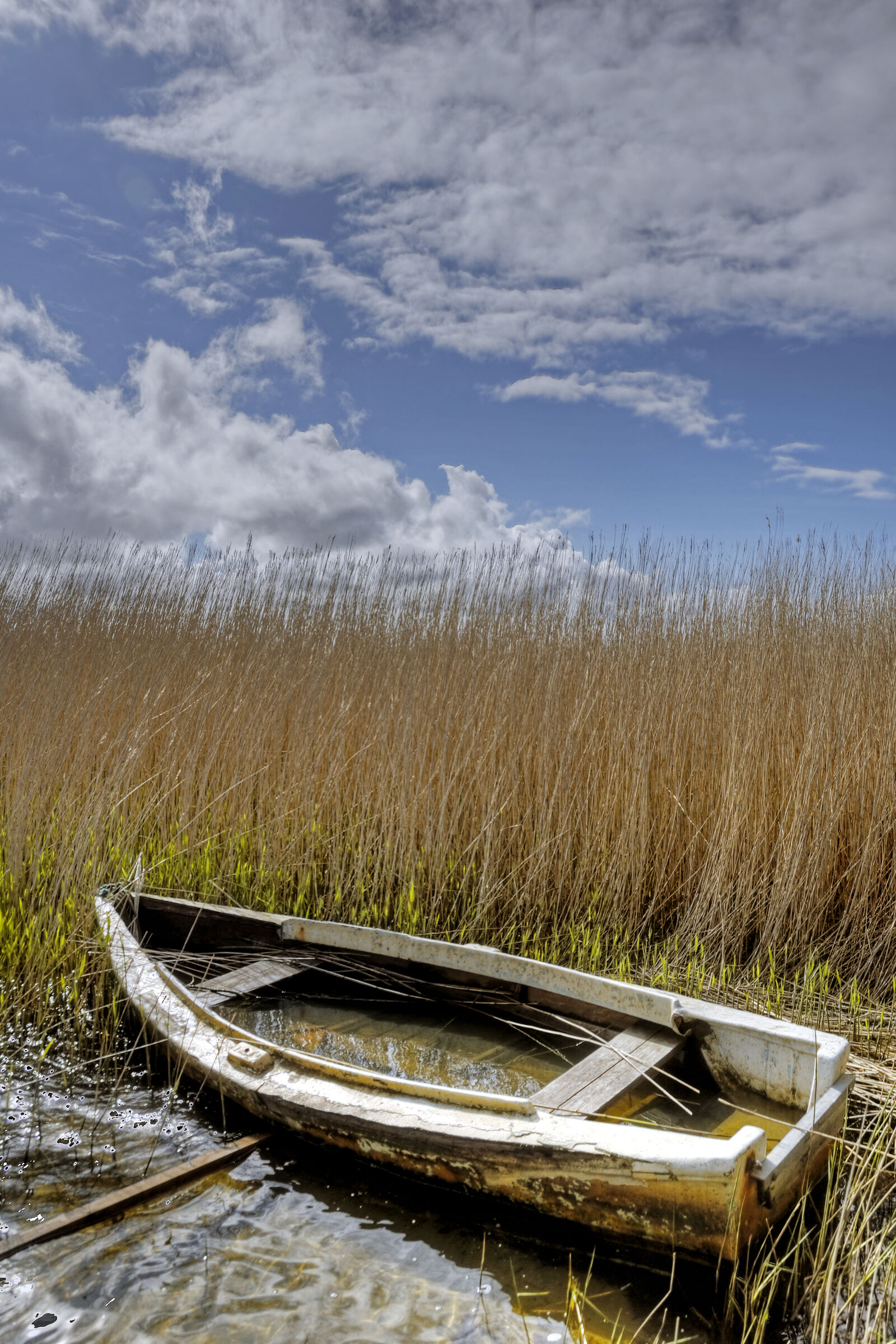 dänemark - ringkobing fjord - holmland klit (03)
