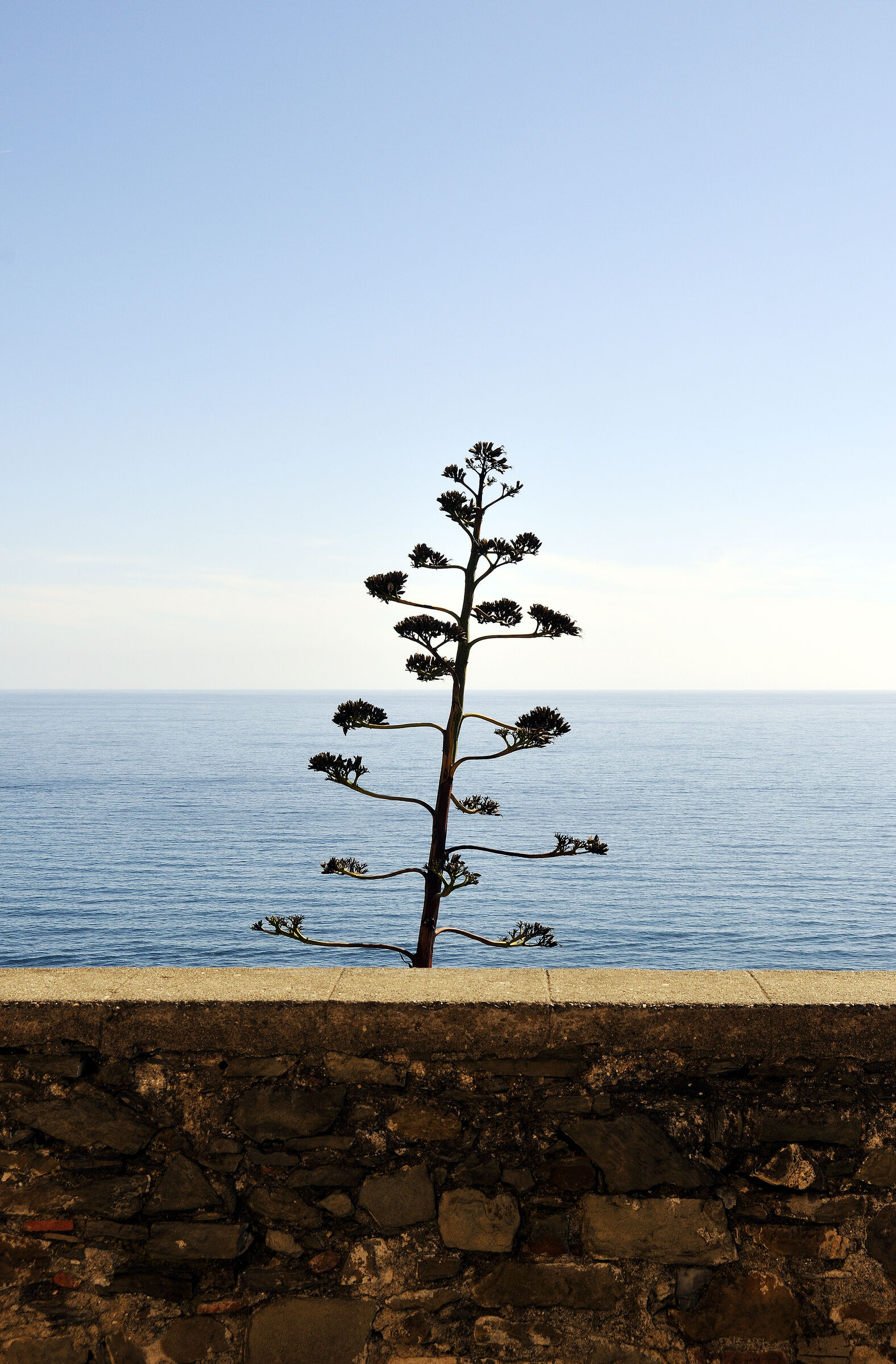 cinque terre - corniglia - schönheit