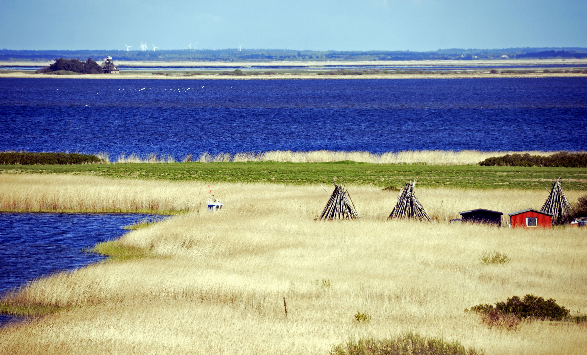 dänemark - ringkobing fjord - holmland klit (10)