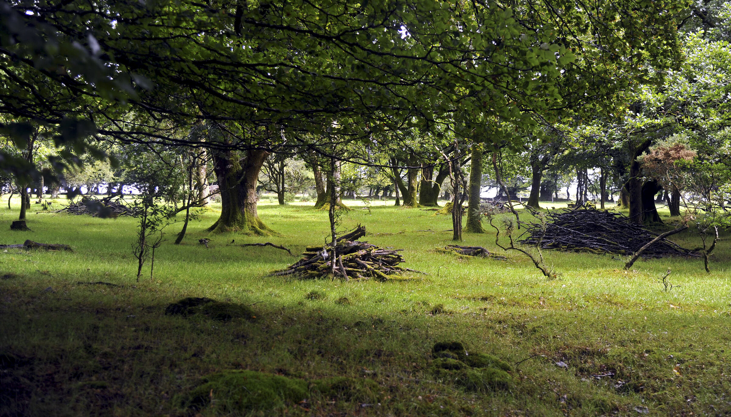 england – cornwall (16)