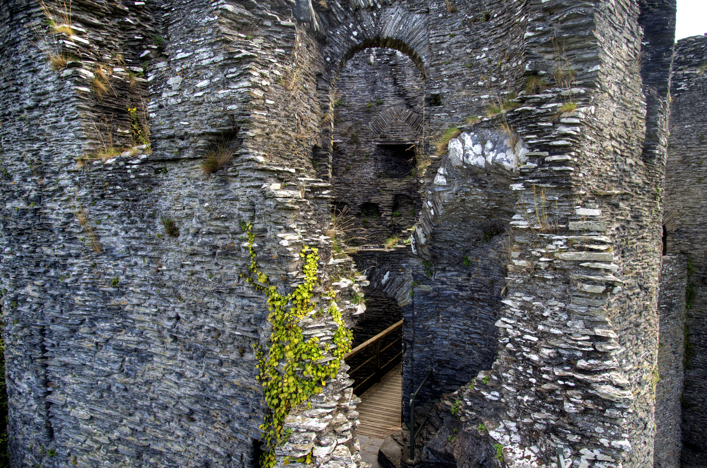 wales – cilgerran castle (06)