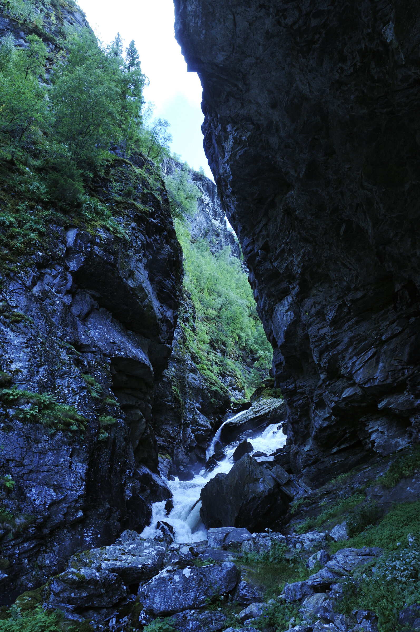 norwegen (108) - geiranger - aufstieg zur alm
