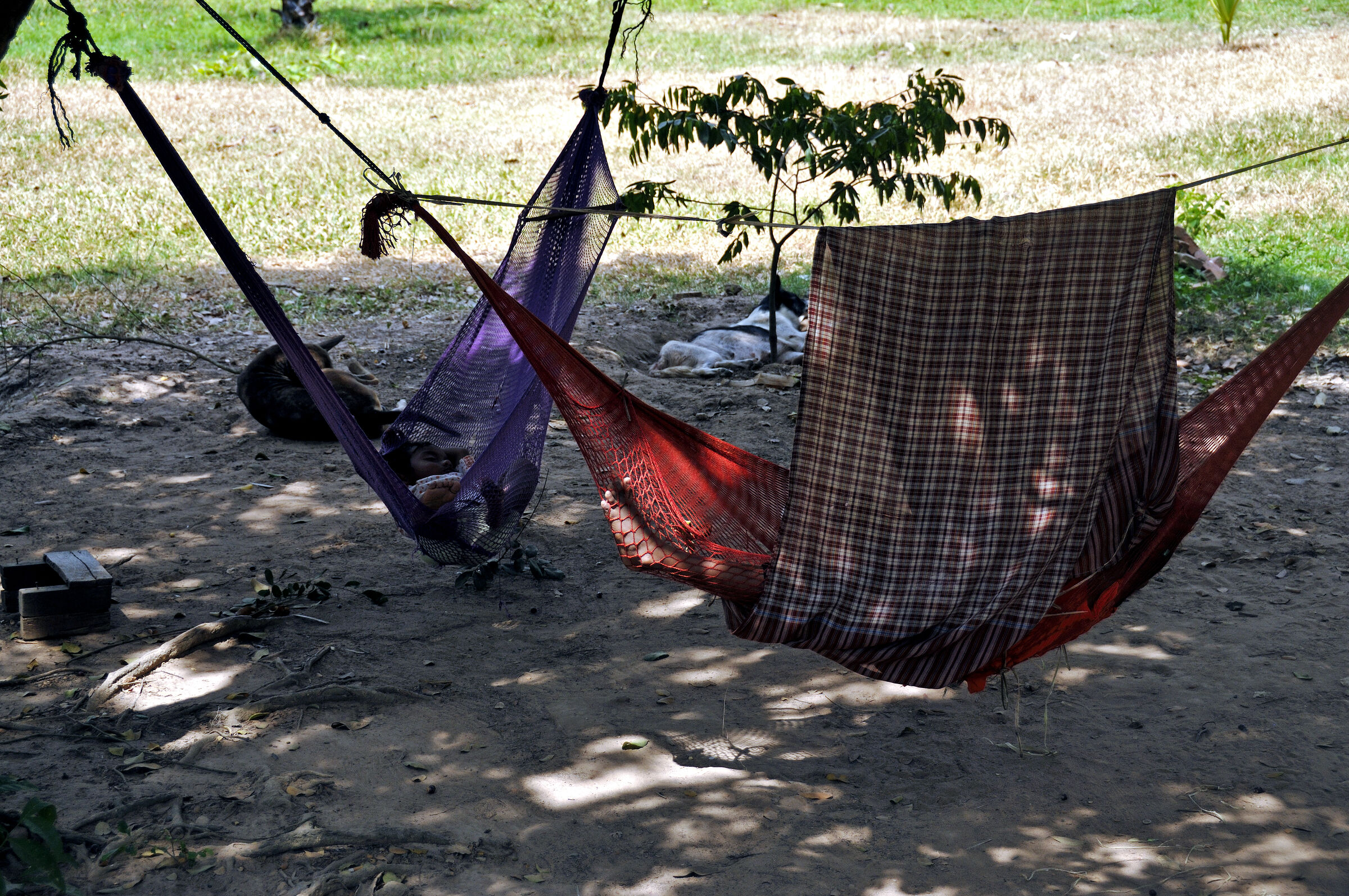 phnom penh - killing fields choeung ek (01)