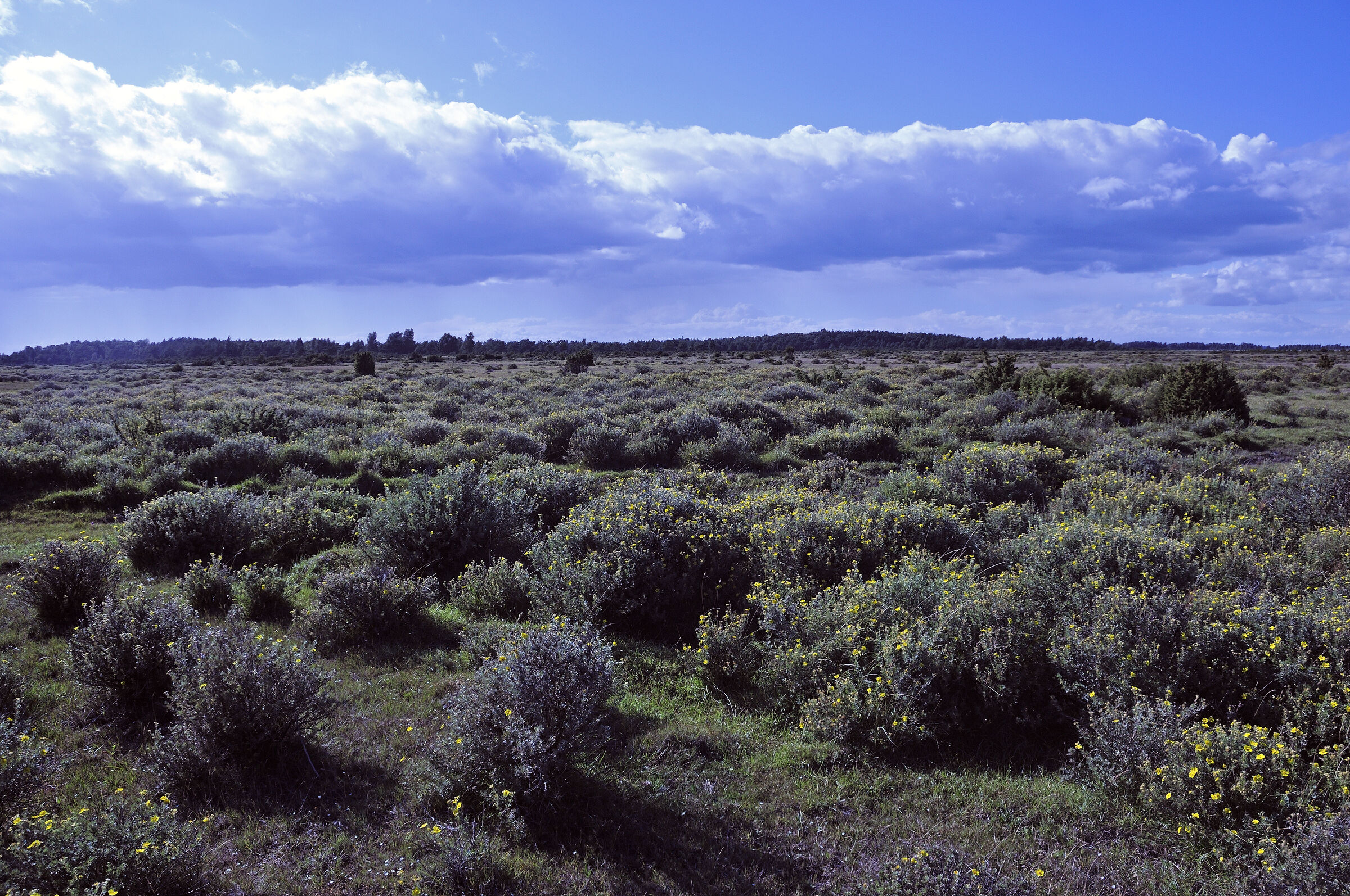 schweden 2017 - (22)