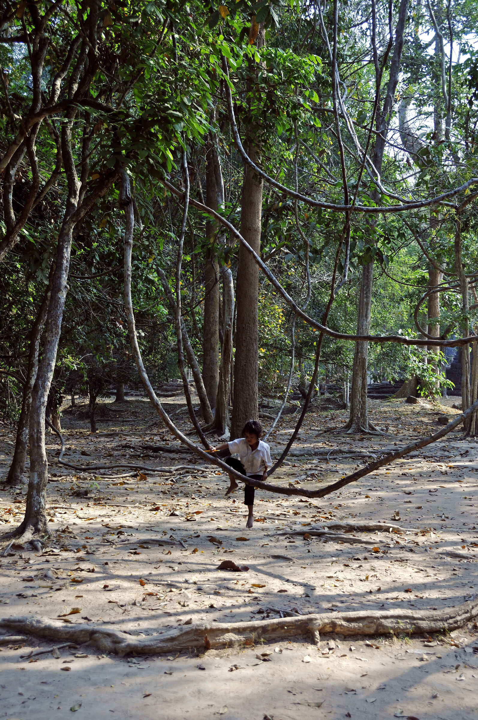 kambodscha - tempel von anghor -preak khan (28)