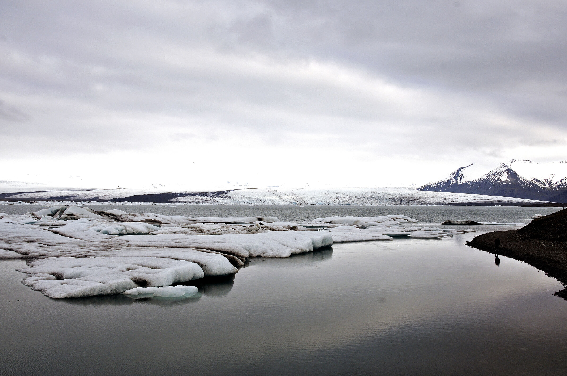 island – jökulsárlón (20)