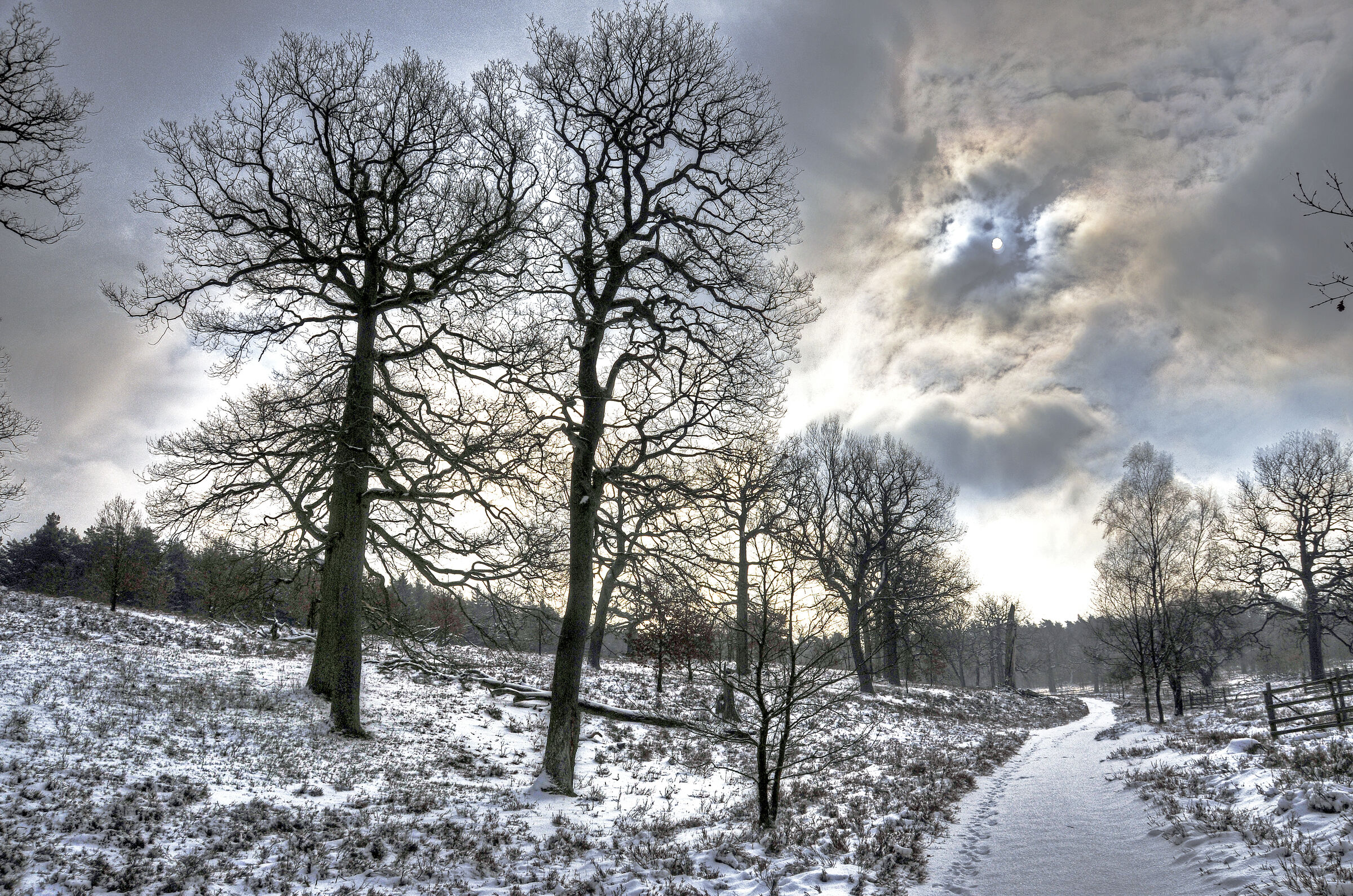 wendland - breeser grund - bild nr. 08