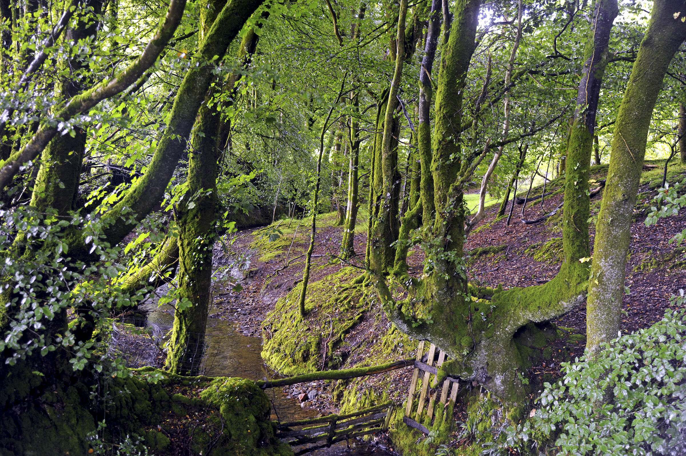 england – cornwall (15)