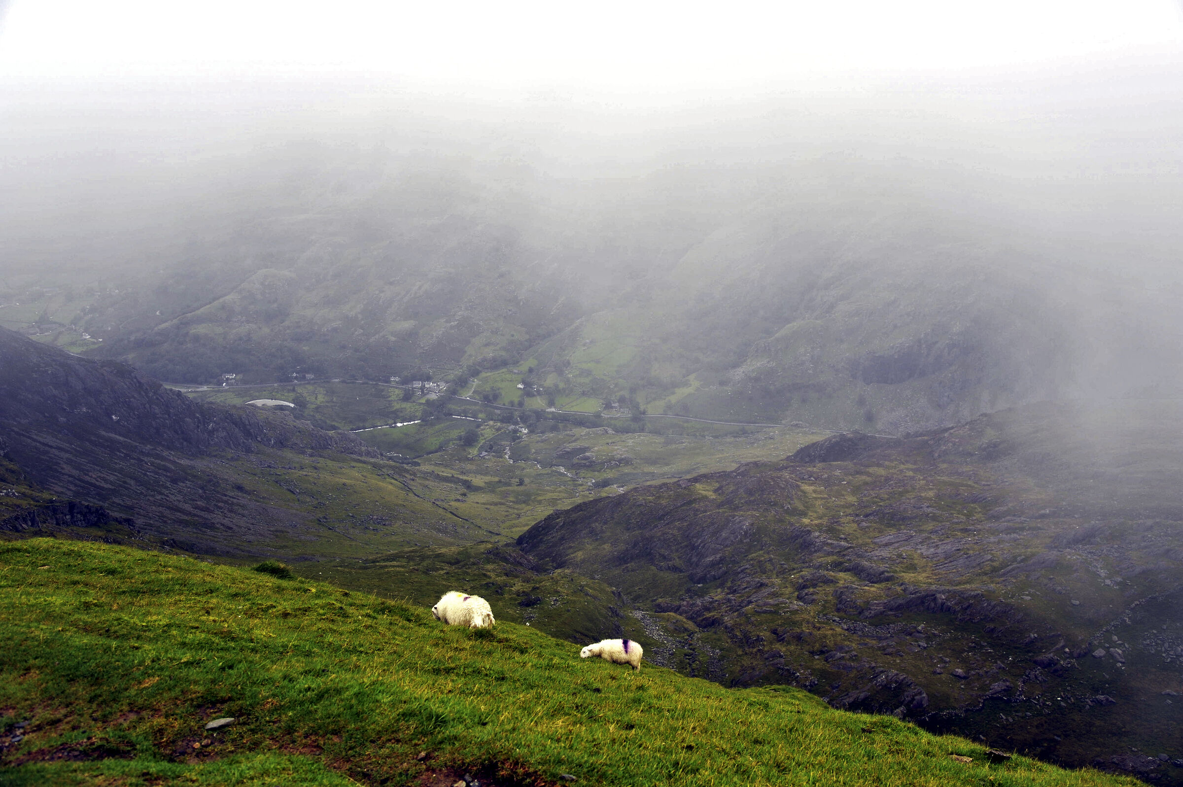 wales – snowdon (10)