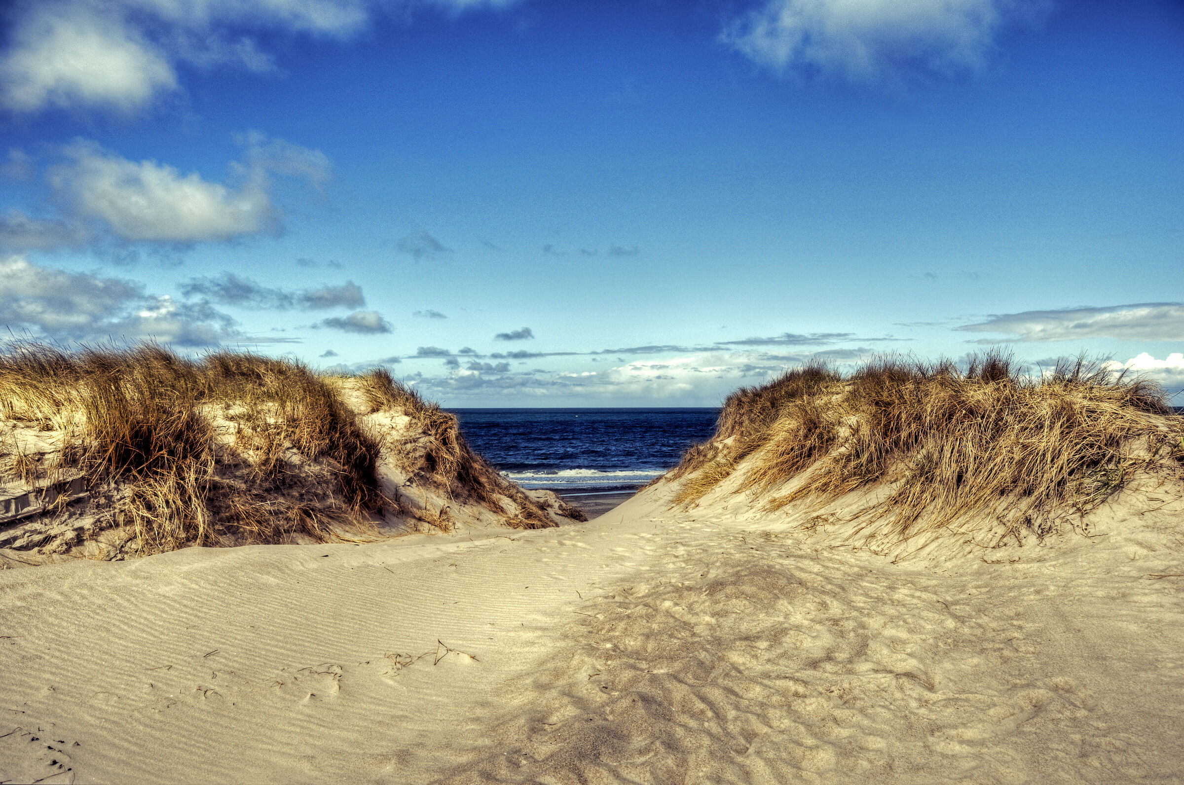 dänemark - ringkobing fjord - holmland klit - am meer (02)