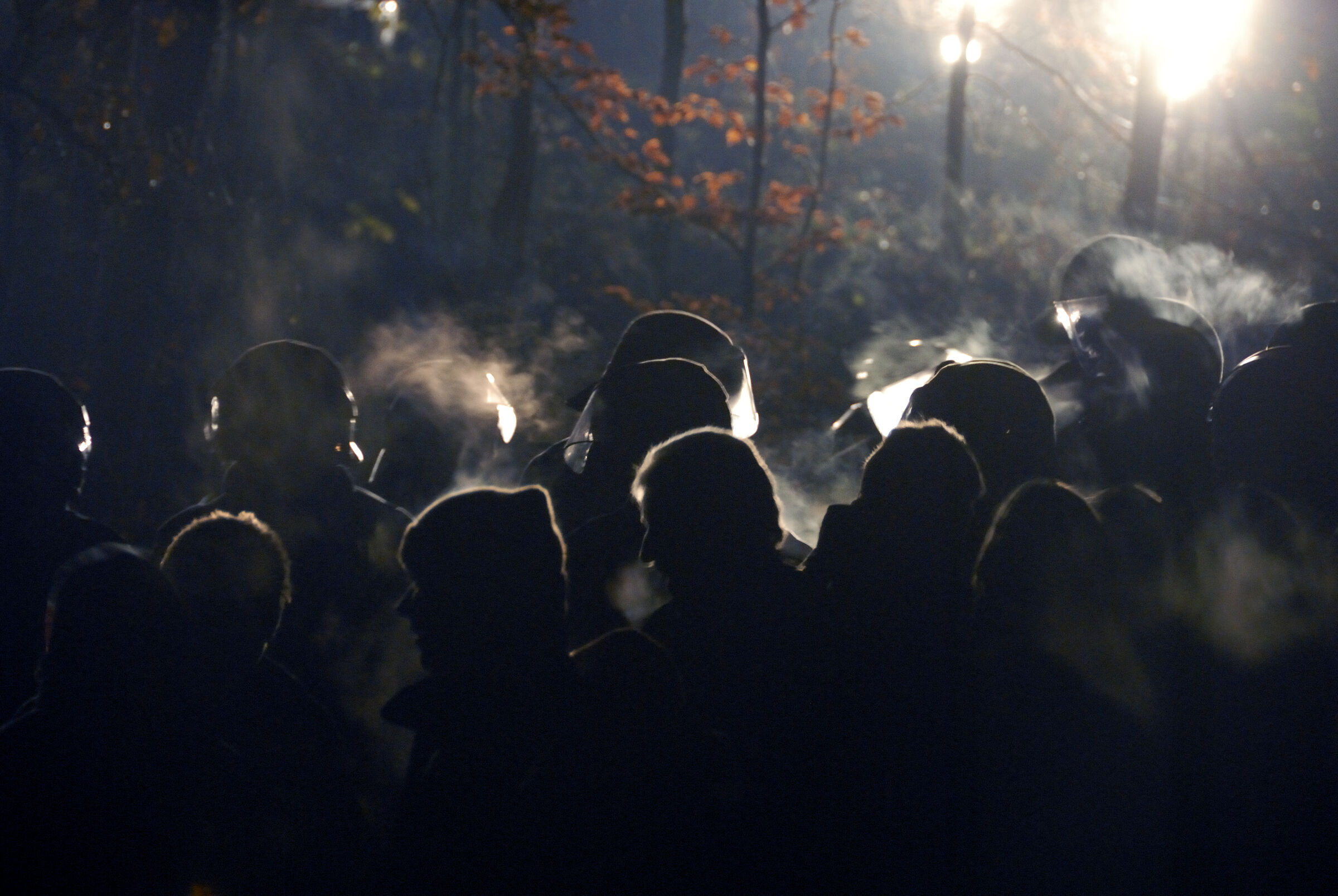 castor november 2010 – harlingen (02)