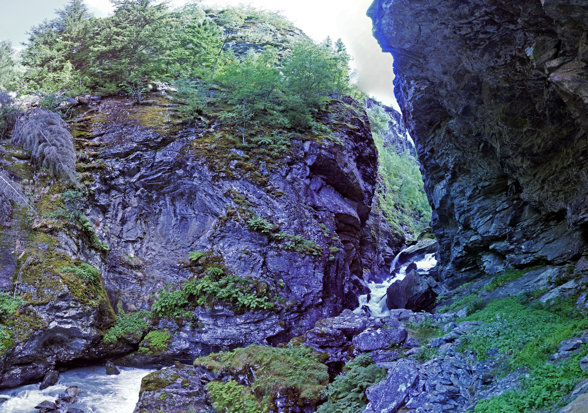 norwegen (109) - geiranger - aufstieg zur alm -teilpanorama