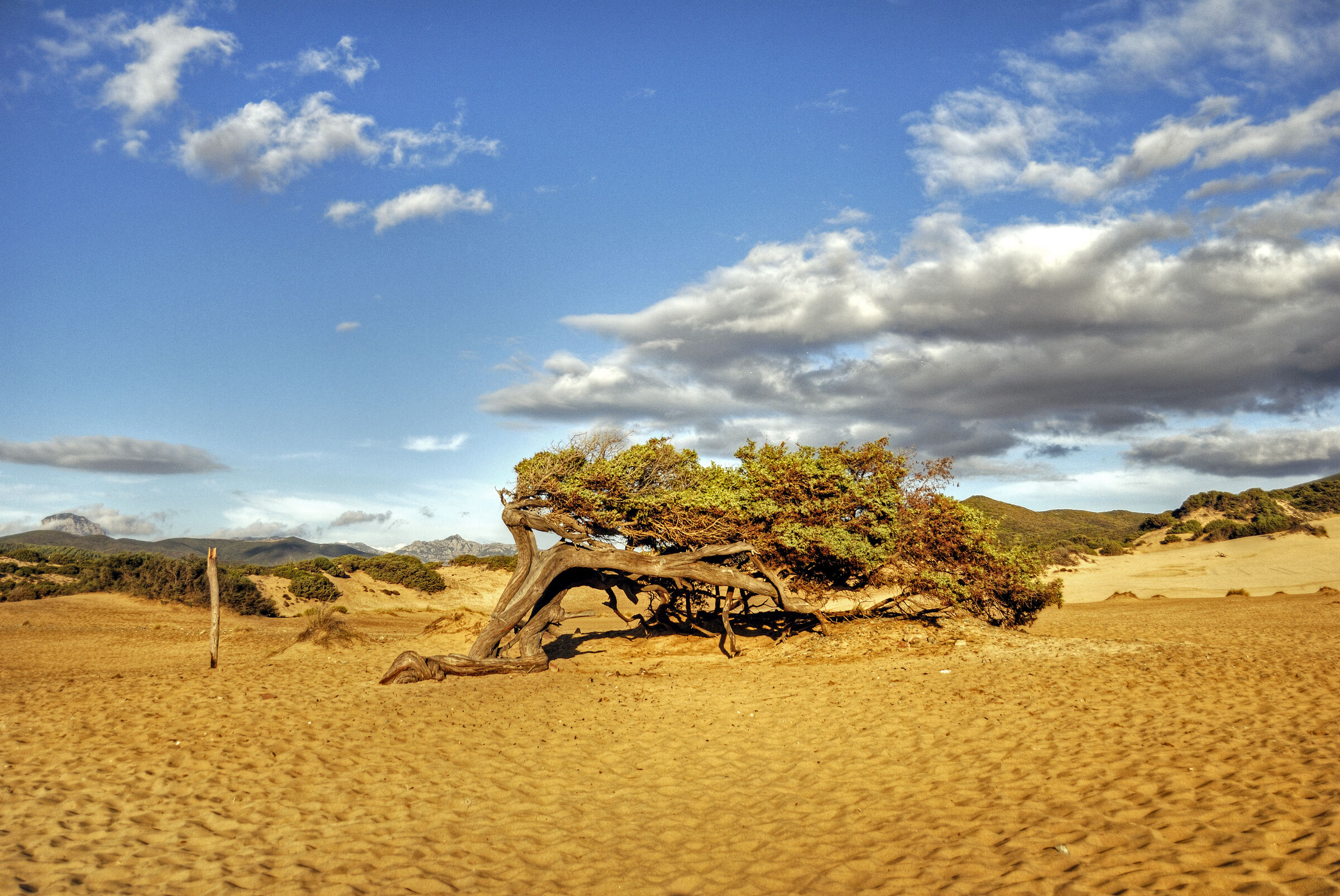 italien - sardinien - spiaggia piscinas - vom wind geformt teil