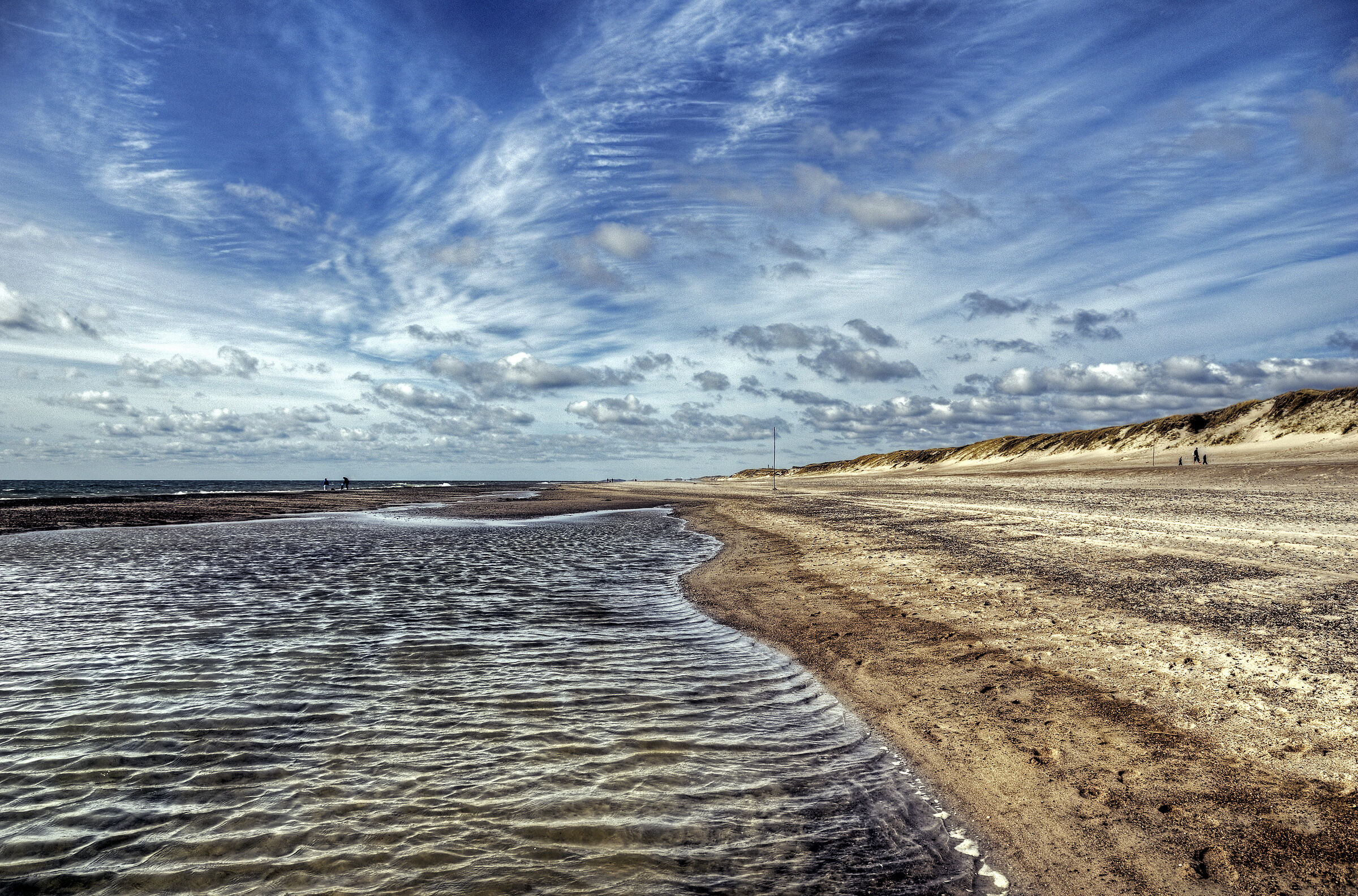 dänemark - ringkobing fjord - holmland klit - am meer (09)