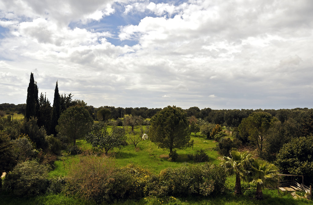 blick vom turm – der ehemalige garten - urupia 2015 (39)