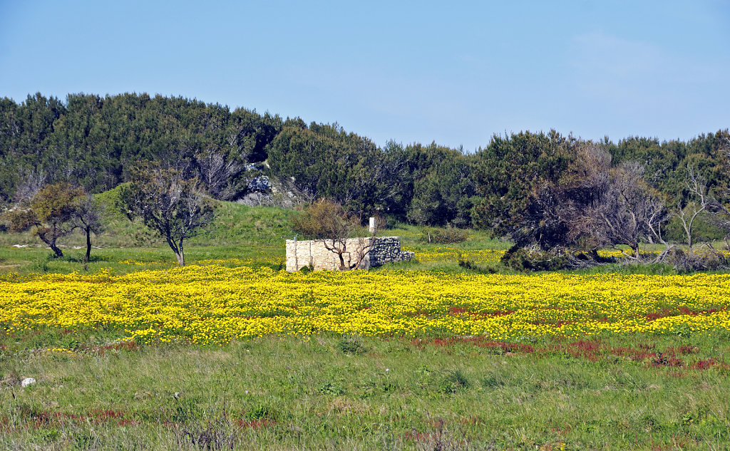 am porto badisco - salent 2015 (81)