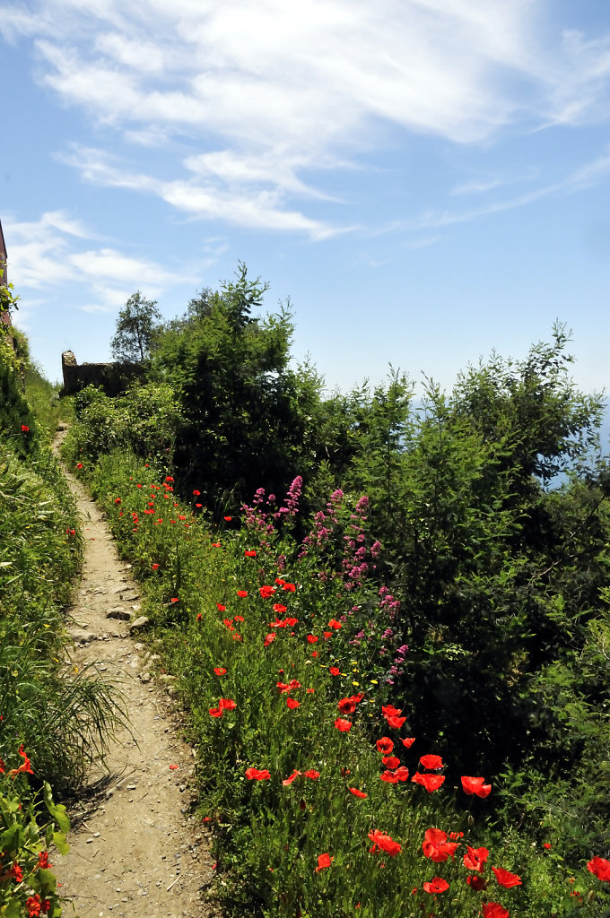 cinque terre – zwischen levanto und monterosso - der weg