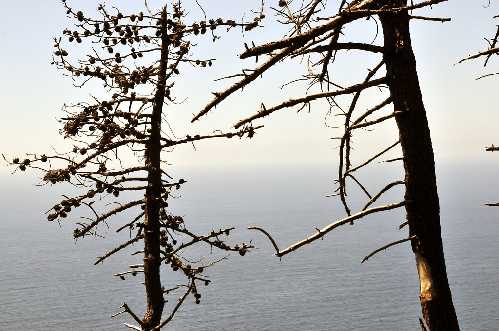 cinque terre – zwischen levanto und monterosso - schön