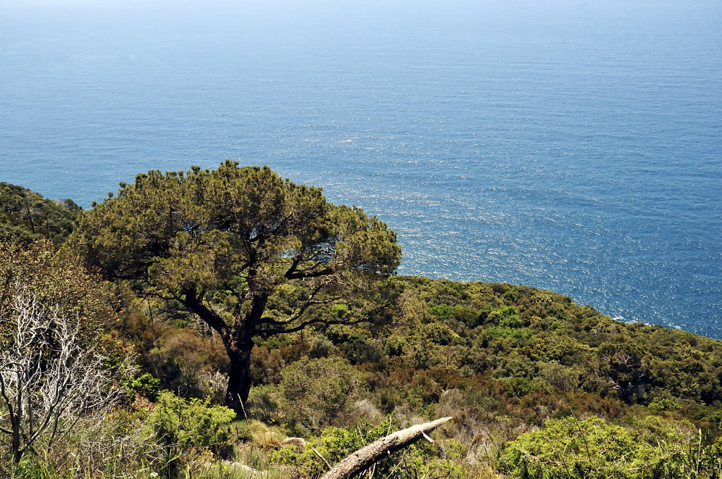 cinque terre – zwischen levanto und monterosso -  ausblick tei