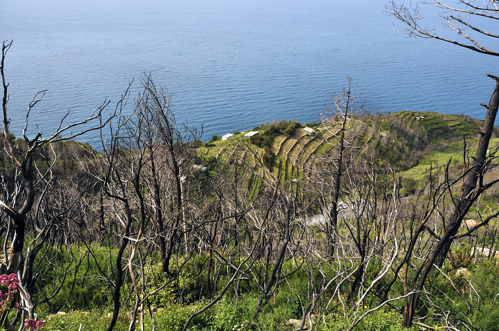 cinque terre - zwischen riomaggiore und porto venere 