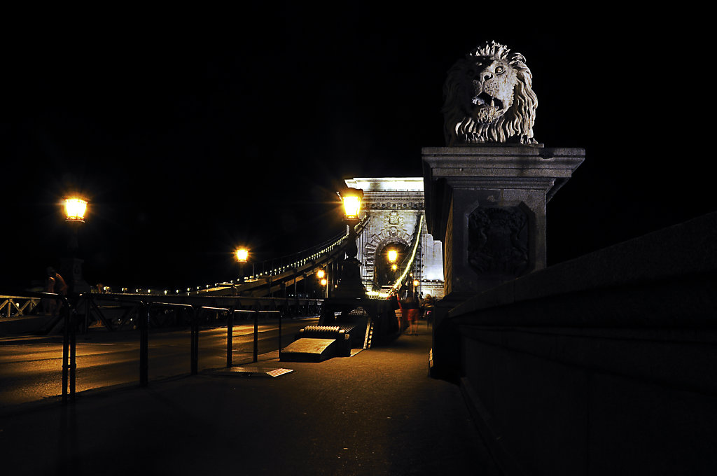 ungarn - budapest - night shots - der löwe